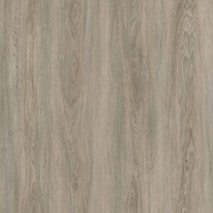 1202 GREY