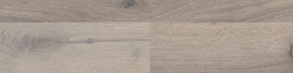 201551 NORTHEM OAK SILVER