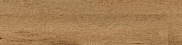 22002 CANYON OAK BROW