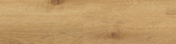 25036 SONOMA OAK