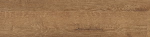 21004 OAK UMBER