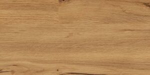 21007 AUTUMN OAK