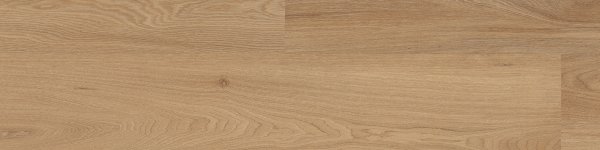 503L-01 SAND OAK